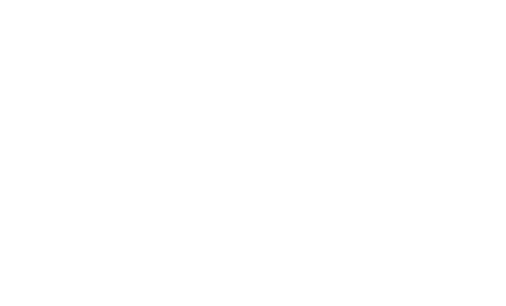 Imagineer Nexus ロゴ